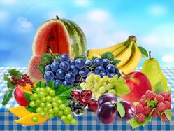 0900qrjr-a976-249x187.jpg