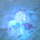 Руна усиления урона — Dota 2 Вики