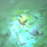 Руна регенерации — Dota 2 Вики