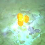 Illusion Rune - Dota 2 Wiki