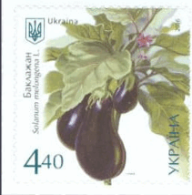 0900qu67-26bb-211x214.png