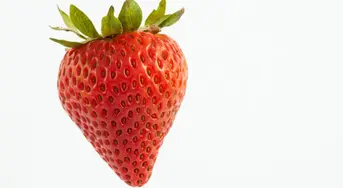 0900r0sa-1a91-343x188.webp