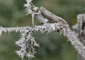 0900r2i4-f3f4-121x86.png