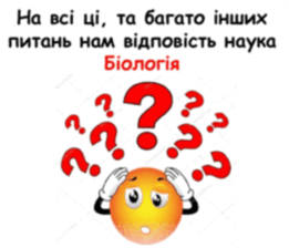 0900r6eb-e4ed-549x471.png