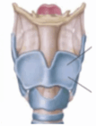0900r6gs-7b52-107x141.png