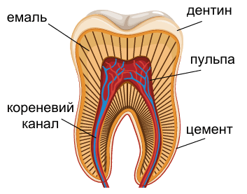 0900rb3z-f1c8-353x277.png