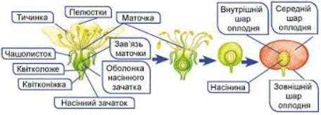0900rbgs-3cc3-576x207.png