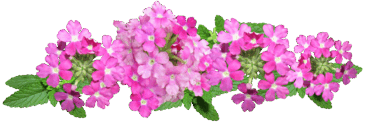 0900rm40-be27-370x128.png