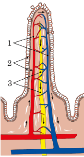 0900rq2o-e2c4-175x325.png
