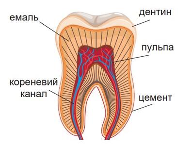 0900rqym-567b-394x303.jpg