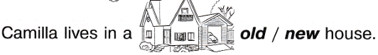 0900s4lg-263c-532x78.png