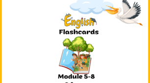Smart Junior 2 Flash cards Module 5-8