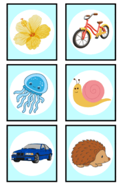 0900sb6z-5895-188x266.png