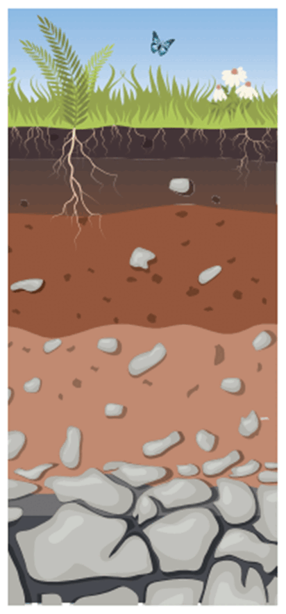 0900sewo-51a2-412x884.png