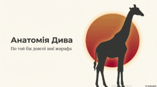 Анатомія дива. Жираф.