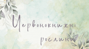 Картки "Червонокнижні рослини"