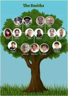 0900sjvh-7fd8-231x326.png