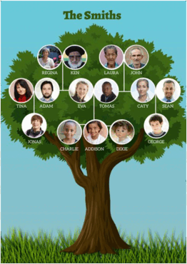 0900sjvh-7fd8-262x370.png