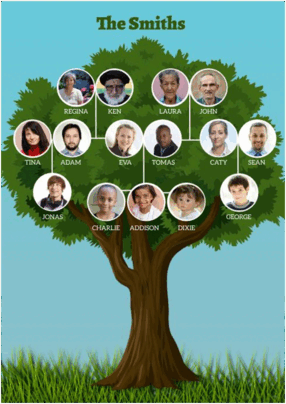 0900sjvh-7fd8-286x404.png