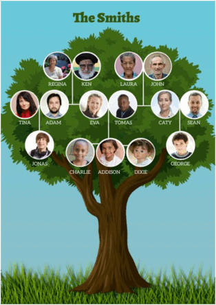 0900sjvh-7fd8-314x444.png