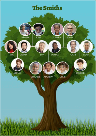 0900sjvh-7fd8-257x363.png