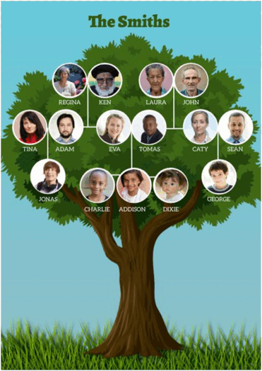 0900sjvh-7fd8-264x373.png
