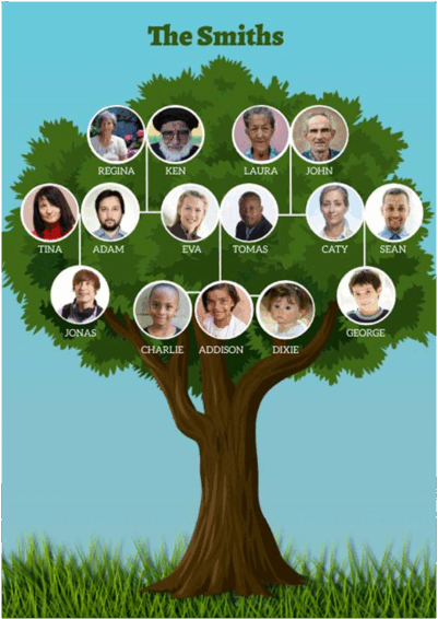 0900sjvh-7fd8-277x391.png