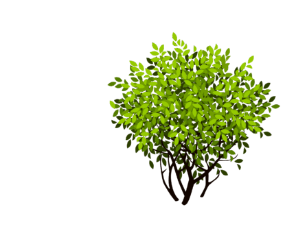 0900slde-9f5b-447x353.png