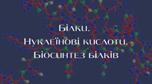 Білки.  Нуклеїнові кислоти. Біосинтез білків