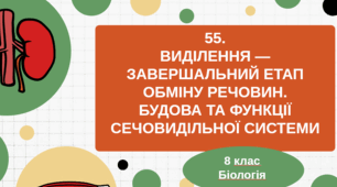 «§55.Виділення – завершальний етап обміну речовин. Будова та функції сечовидільної системи» 8клас НУШ