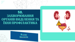 Презентація до уроку «§58. Захворювання огранів виділення та їхня профілактика» 8 клас  НУШ