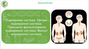 Презентація, конспект уроку та робочі аркуші на тему "Ендокринна система. Органи ендокринної системи. Принципи функціонування ендокринної системи. Функції ендокринної системи". 8 клас НУШ