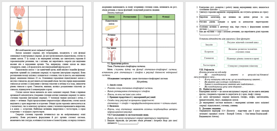 0900spzm-1766-940x445.png