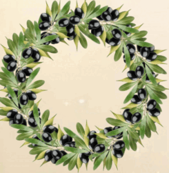 0900sq29-c52f-245x251.png