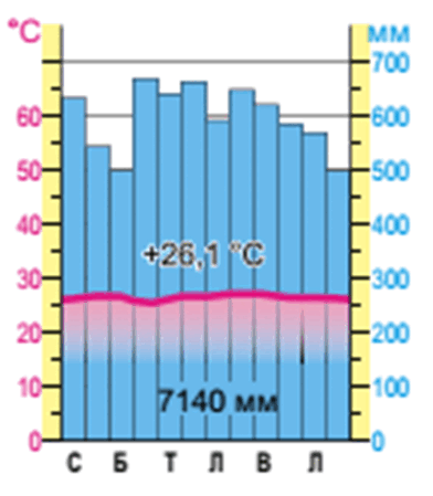 0900sr4z-e1be-392x449.png