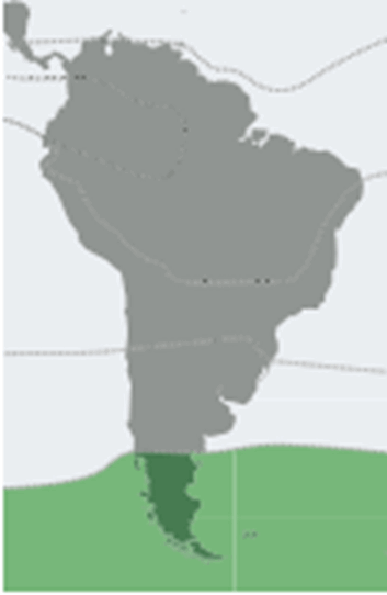 0900sr59-0a55-353x542.png