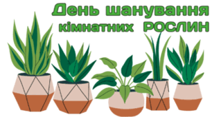 10 січня - День шанування кімнатних рослин