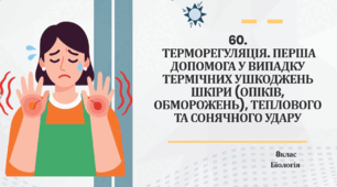 Презентація до уроку «§60. Терморегуляція. Перша допомога у випадку термічних ушкоджень шкіри» 8 клас НУШ