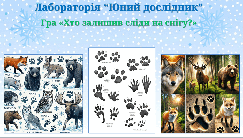 0900stj7-5386-940x536.png