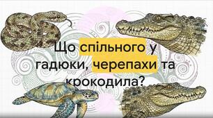 Світ плазунів: біологія та спосіб життя.