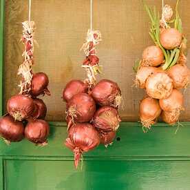 hanging an onion on the door is a greek new year tradition