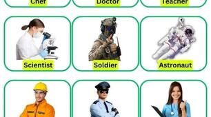 PROFESSIONS