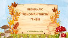 Для відкритого уроку. "Різноманітність грибів"