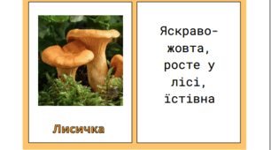 Гра-пазл «Впізнай гриб»