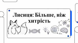 Лисиця: більше, ніж хитрість