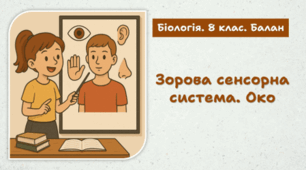 Зорова сенсорна система. Око. 8 клас НУШ