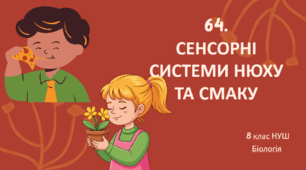 Презентація до уроку «§64.Сенсорні системи нюху і смаку»  8клас НУШ