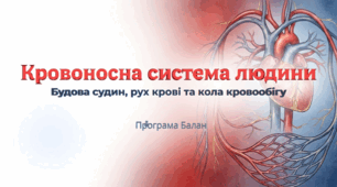 Будова та функції кровоносних судин. Рух крові: велике та мале кола кровообігу