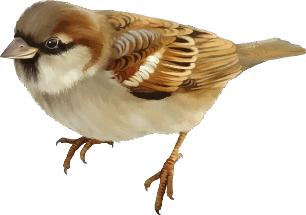 0900t20w-6073-596x419.png