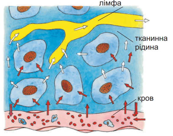 0900t2e8-0d8c-587x462.png